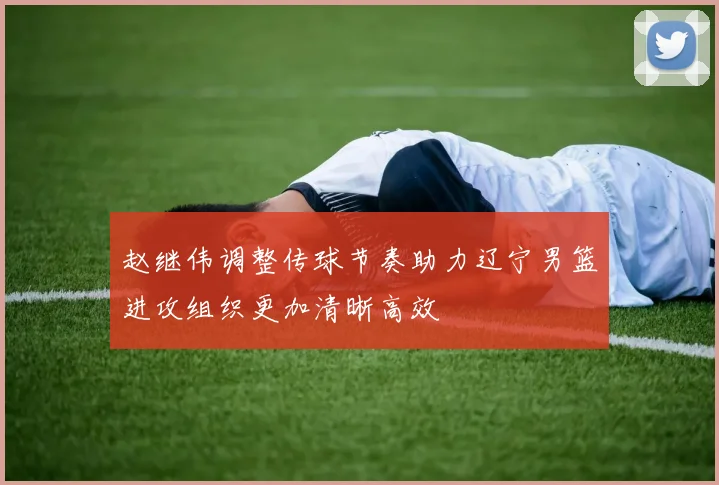 赵继伟调整传球节奏助力辽宁男篮进攻组织更加清晰高效